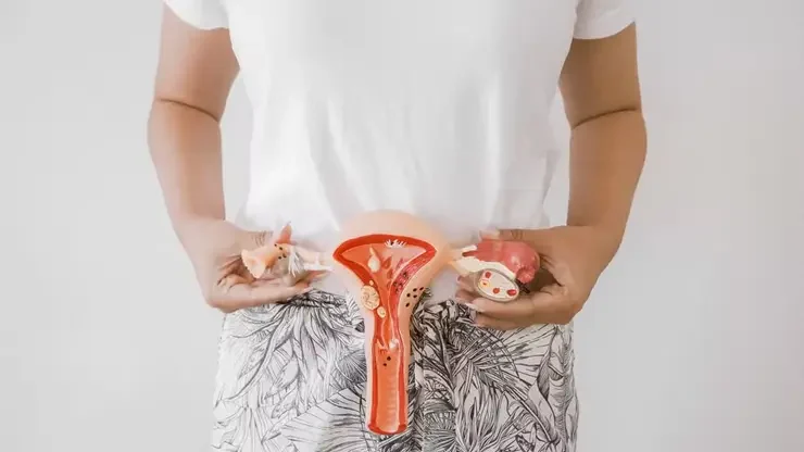 Menopausa: Uma Transformação Hormonal com Impactos Cognitivos e Emocionais