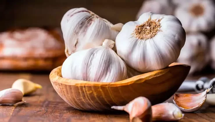 Alho um aliado ancestral para a saúde com propriedades curativas